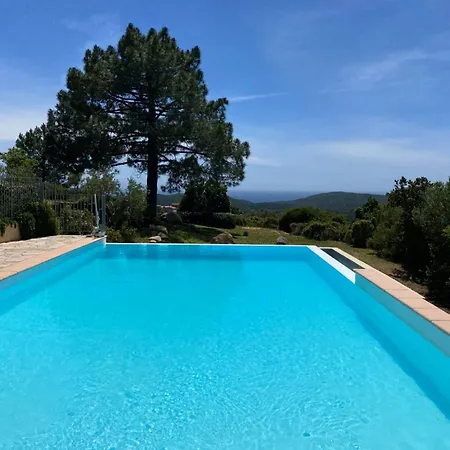 A Vista 11