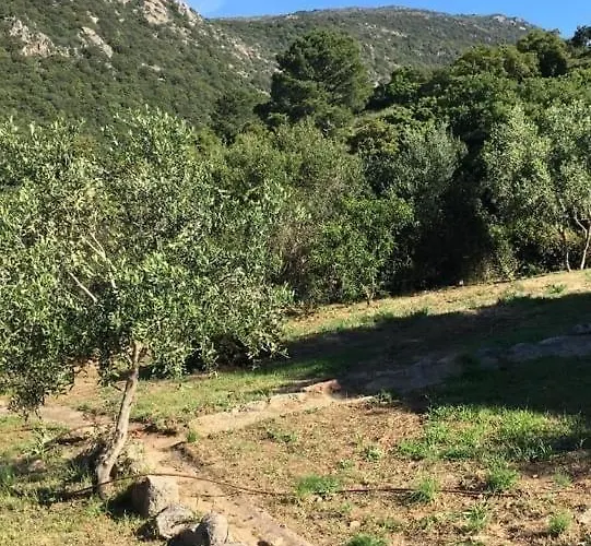 A Vista 11 Monacia d'Aullena